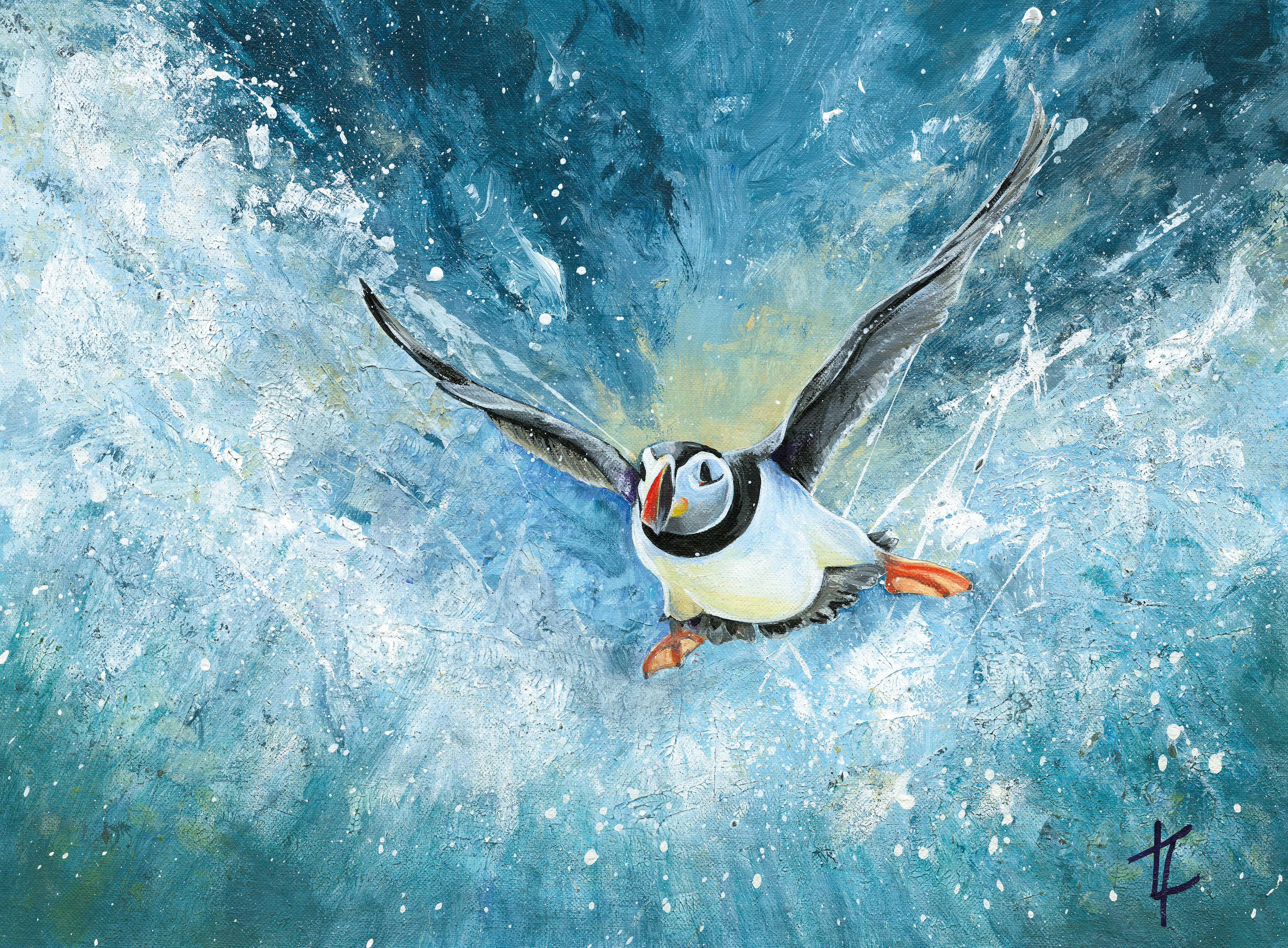 Puffin In Flight