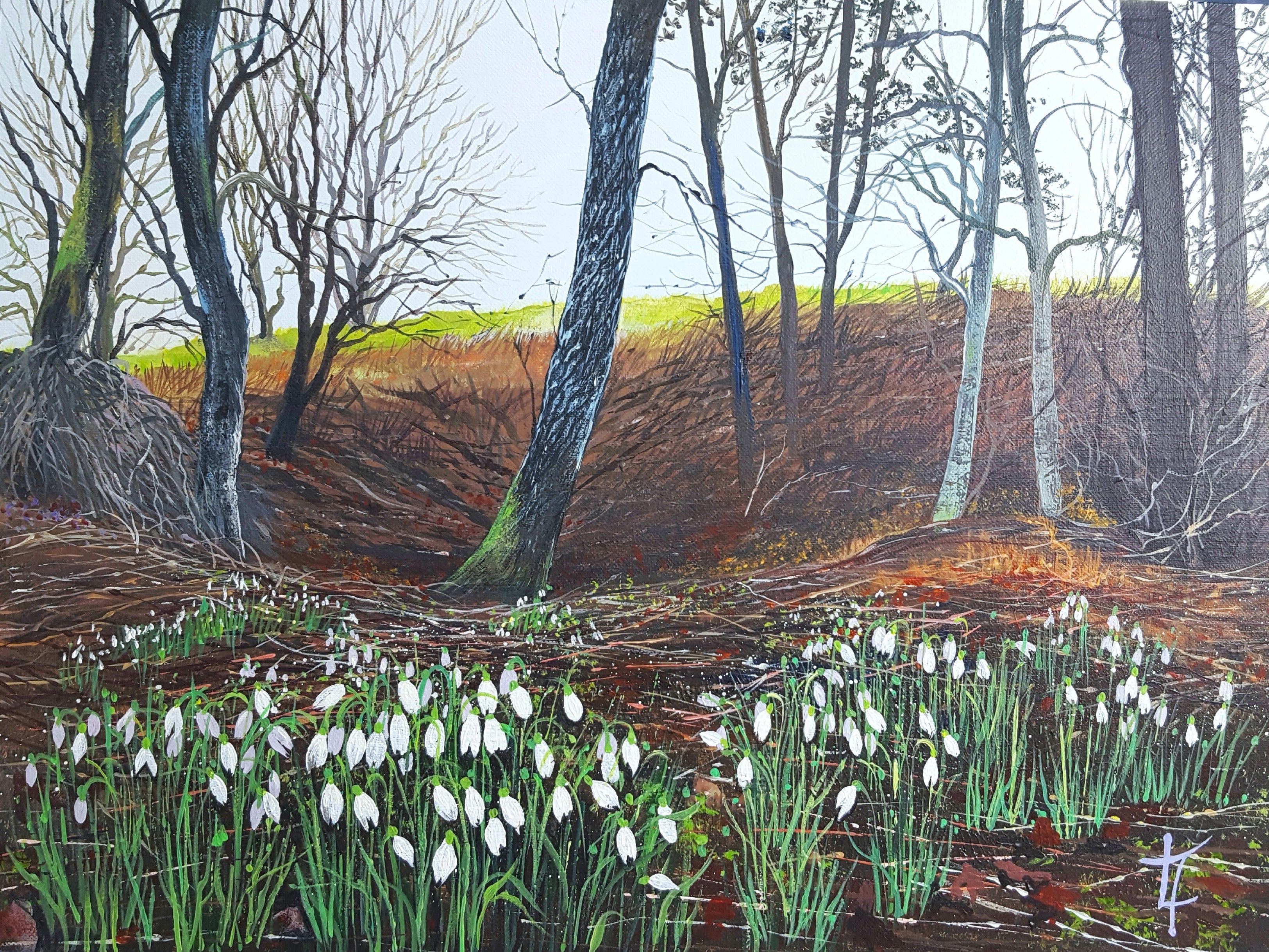 Snowdrop Woods- Original Painting