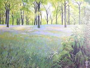 Bluebell Woods- Original Painting