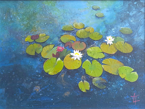 Waterlilies - Original Painting