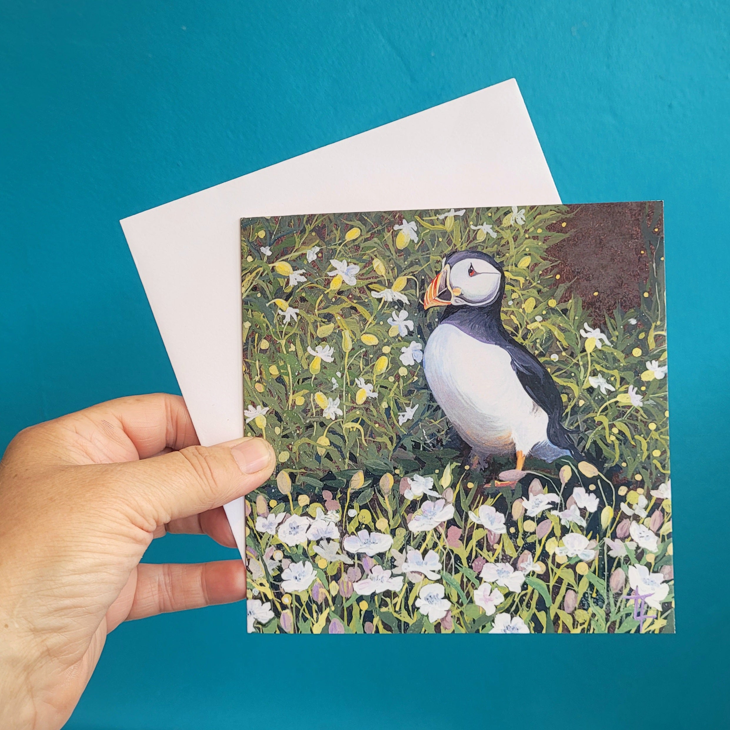 THE PUFFIN COLLECTION- SET OF 6 CARDS