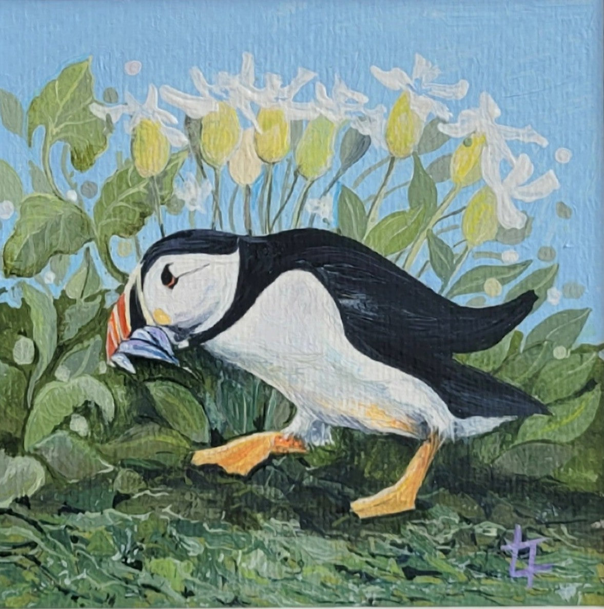 Nearly Home Puffin - Original Painting