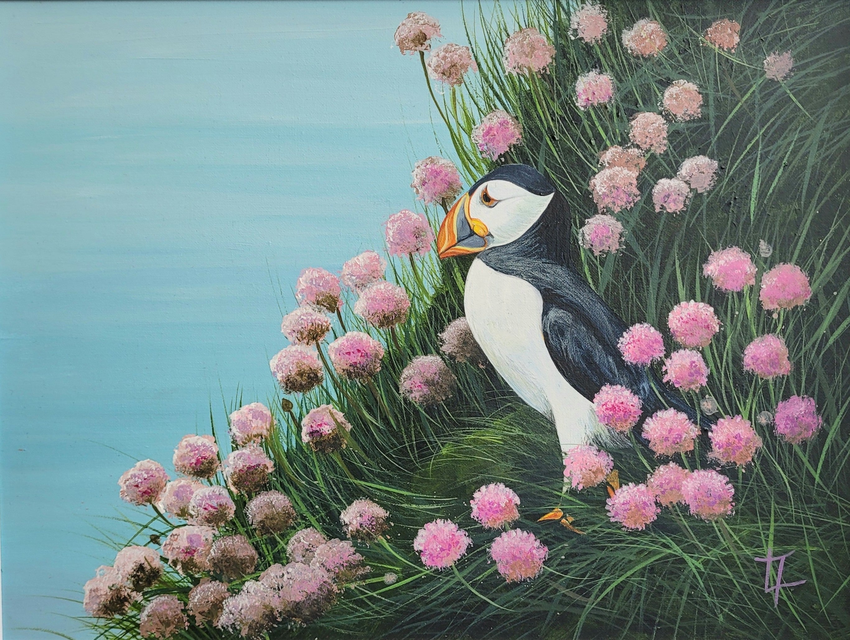 Puffin In The Pinks