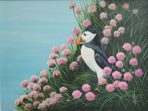 Puffin In The Pinks