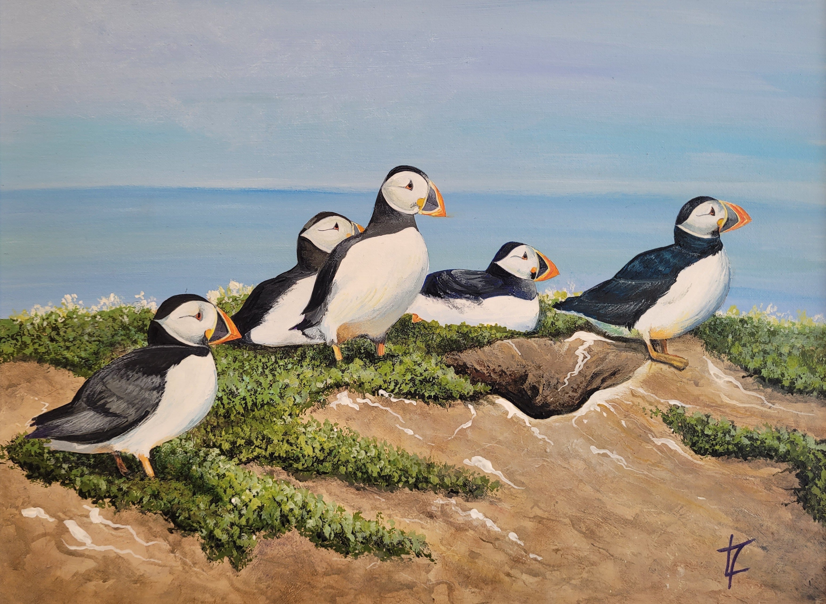 Waiting Puffins