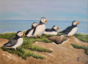 Waiting Puffins