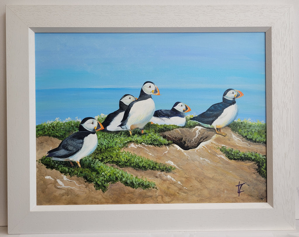 Waiting Puffins