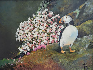 Puffin  With Sea Campion and Pinks