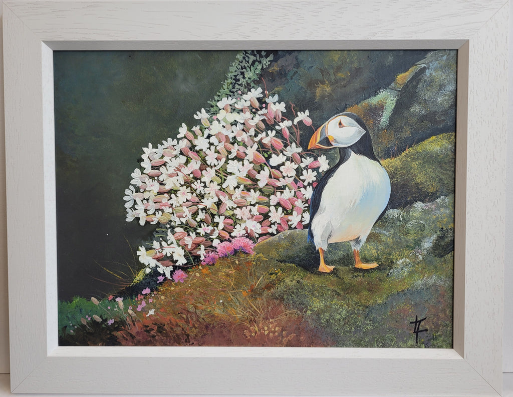 Puffin  With Sea Campion and Pinks