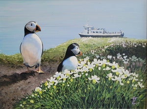 Puffin Watching -Original Painting