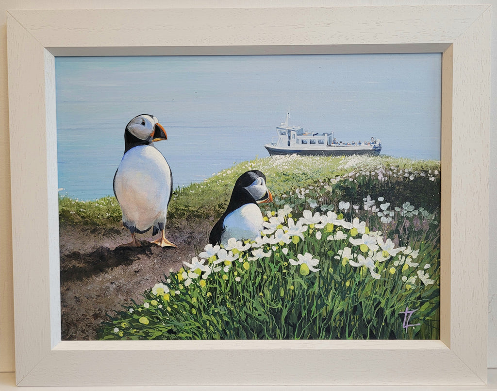 Puffin Watching -Original Painting