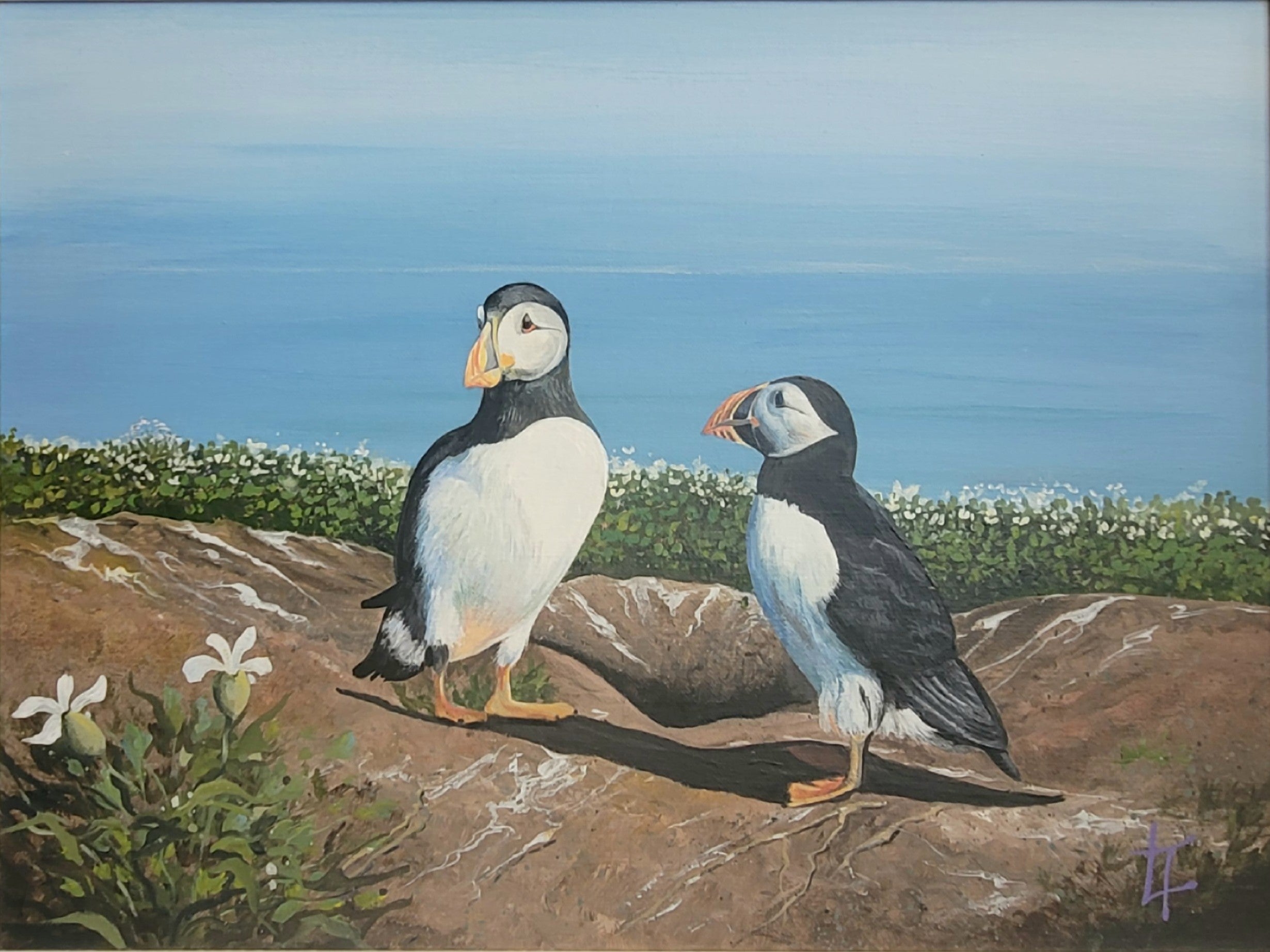 Home Sweet Home Puffins - Original Painting