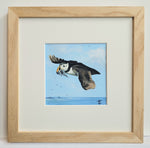 Express Delivery- Puffin - Original Painting