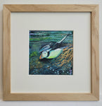 On a Mission- Diving Puffin - Original Painting