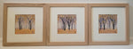 Autumn Beeches - Triptych of Three Original Painting