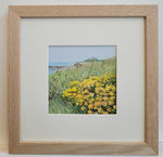 Bamburgh Castle With  Ragwort Flowers - Original Painting