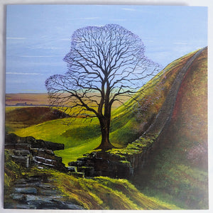 SYCAMORE GAP COLLECTION- SET OF 4 CARDS