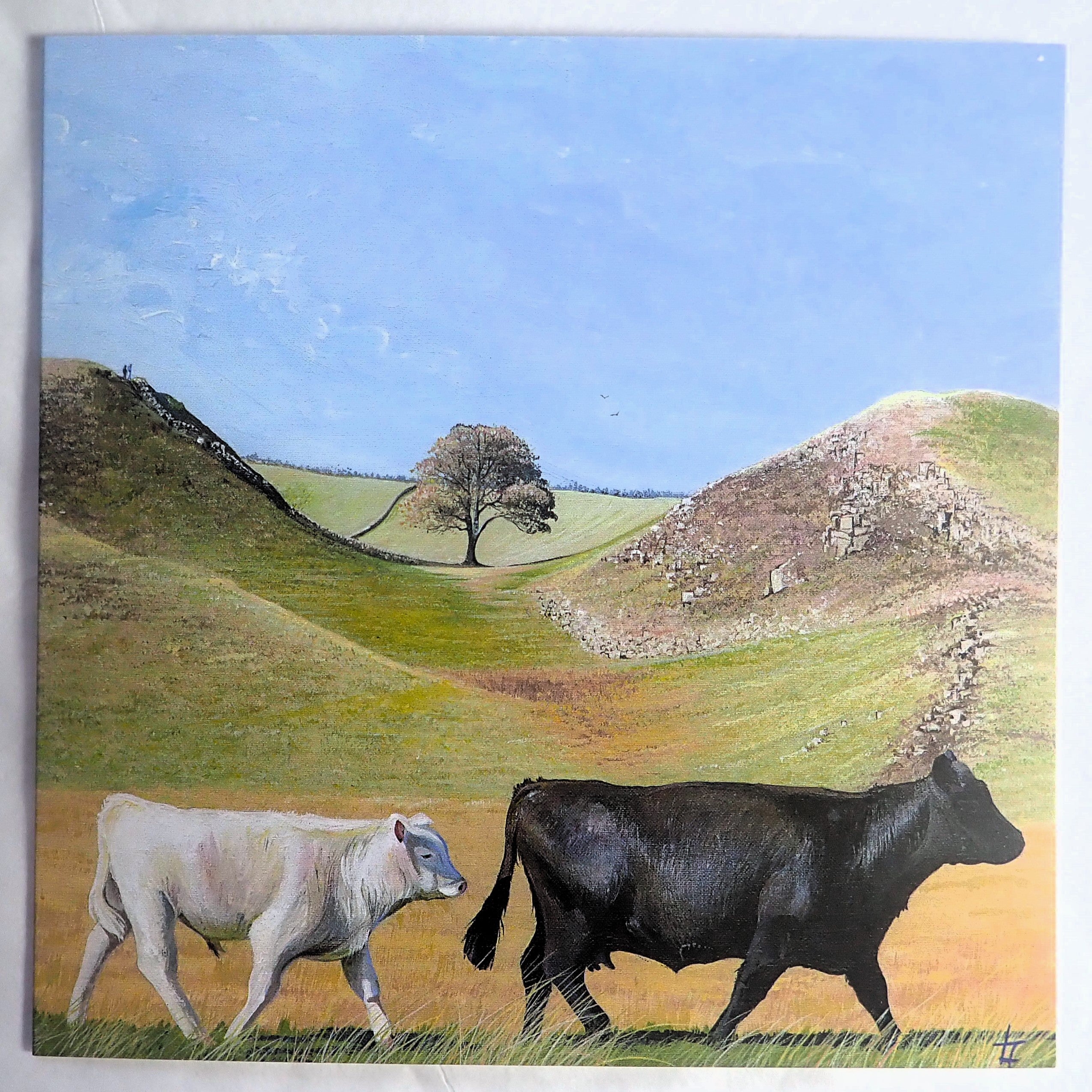 SYCAMORE GAP COLLECTION- SET OF 4 CARDS