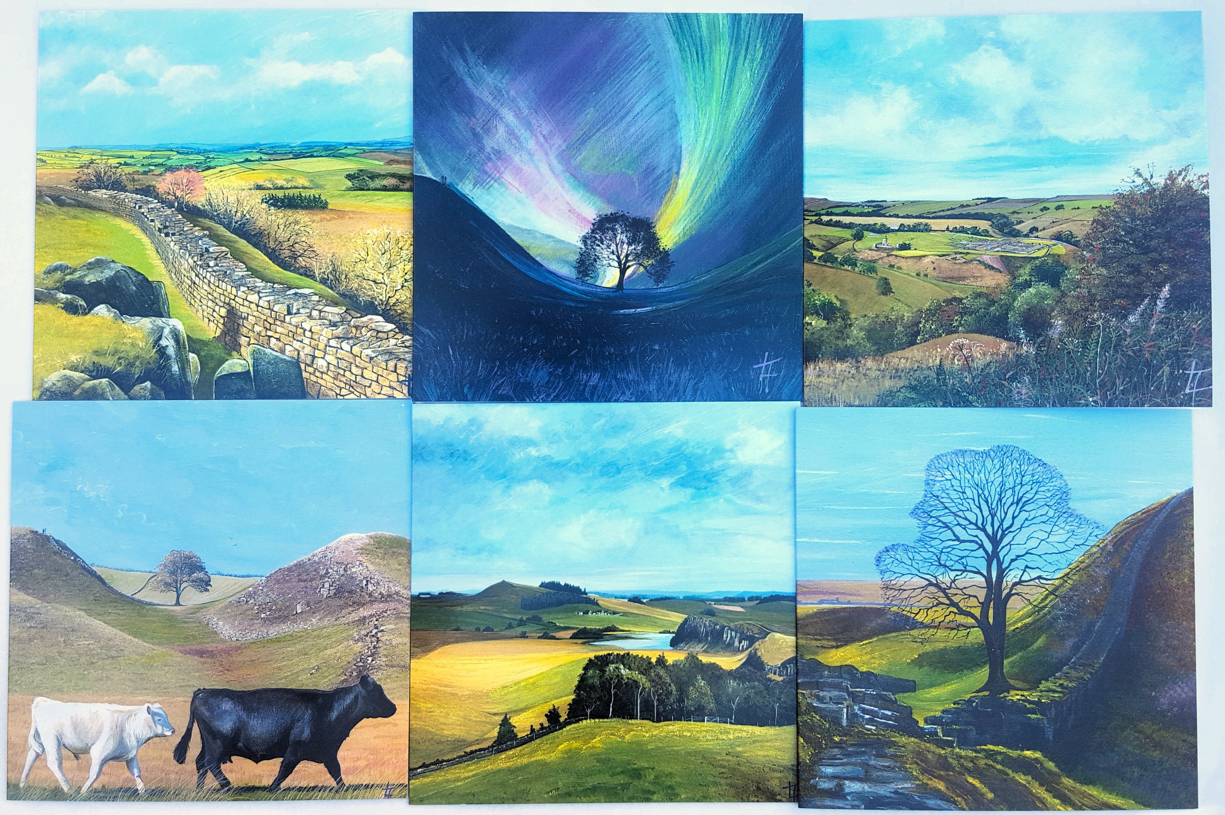 THE HADRIAN'S WALL COLLECTION- SET OF 6 CARDS