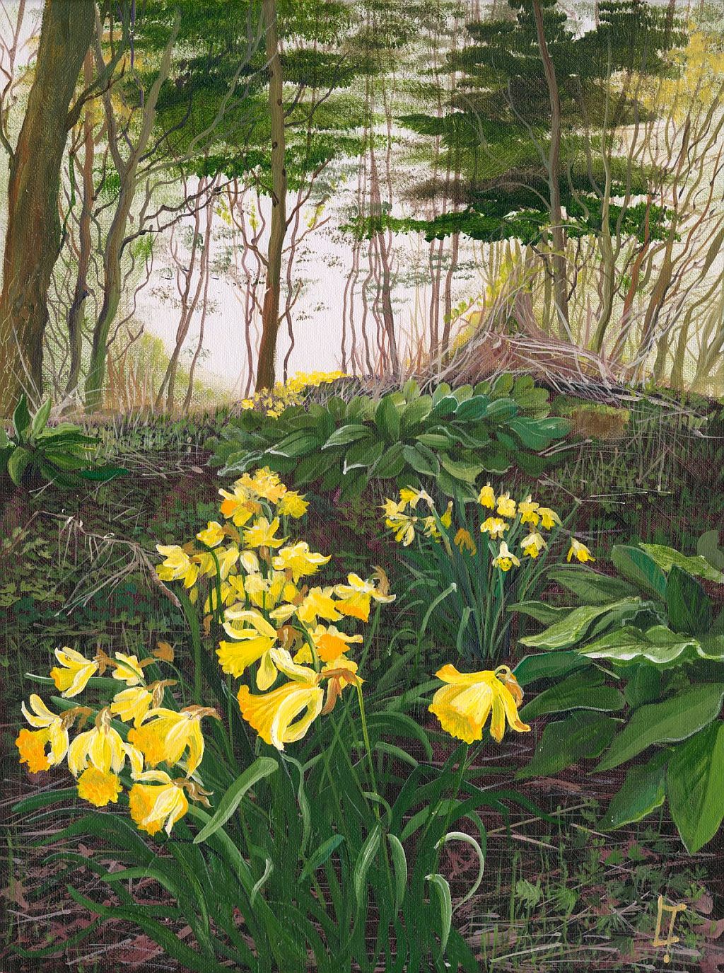 Daffodil Woods