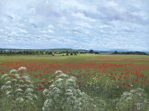 Alnwick from the Poppy Field