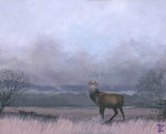Stag in the Mist