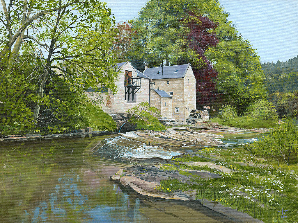 Thrum Mill Spring Reflections