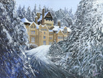 Cragside House In The Snow