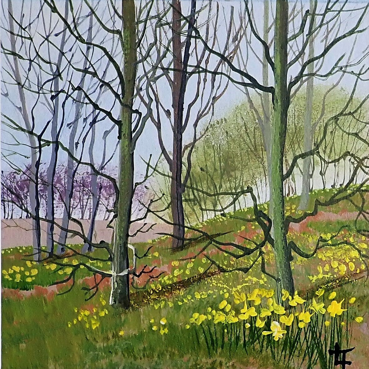 Daffodil Bank II - Original Painting