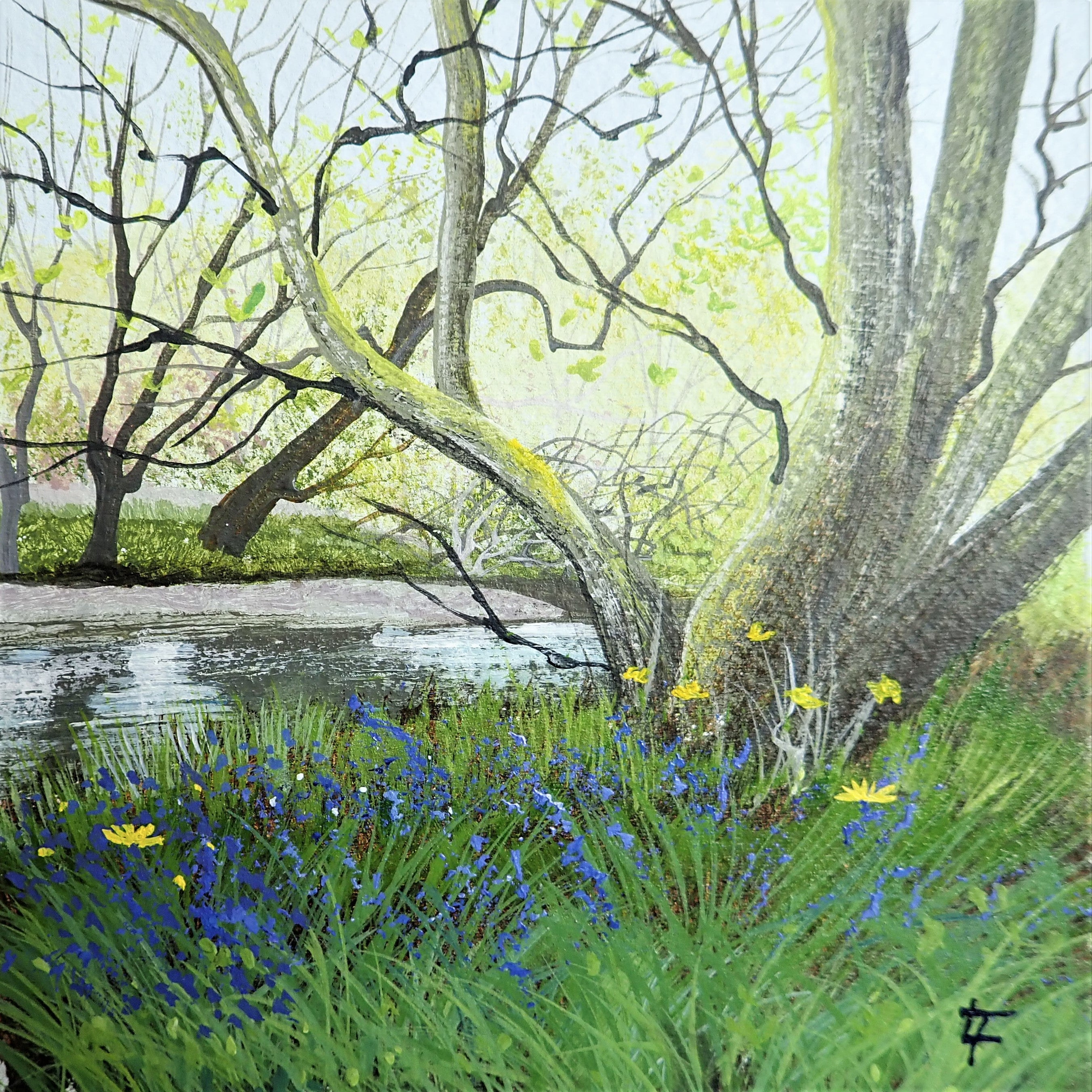 Riverbank Bluebells - Original Painting