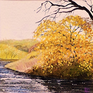 Copy of Autumn Riverbank - Original Painting