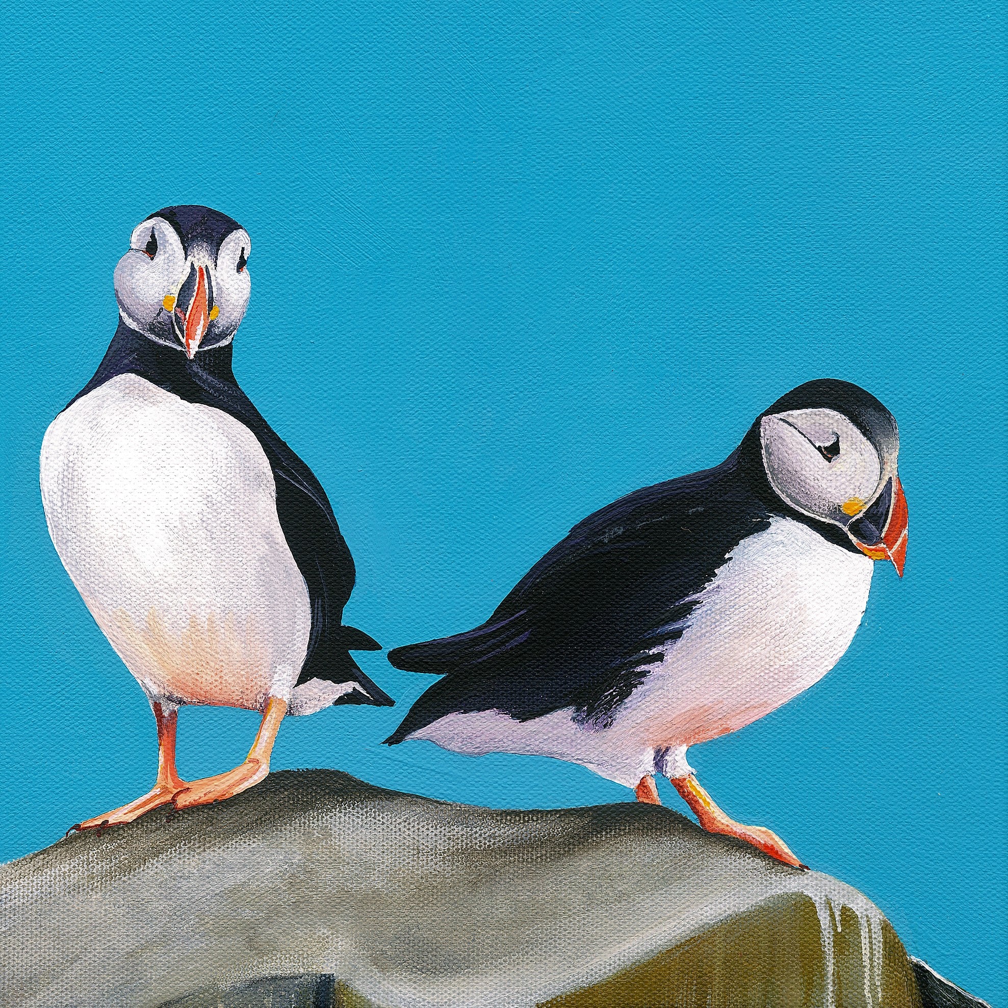 THE PUFFIN COLLECTION- SET OF 6 CARDS